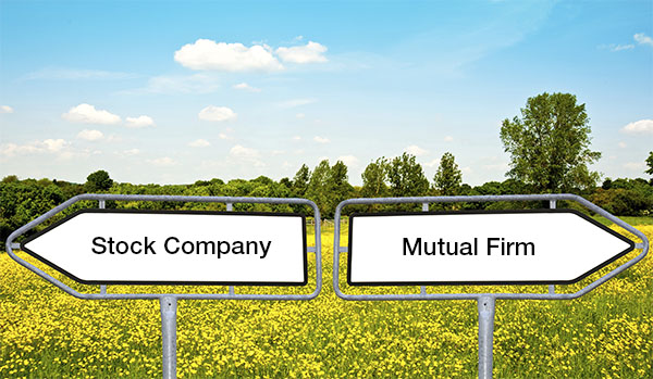 Stock and Mutual Insurance Companies
