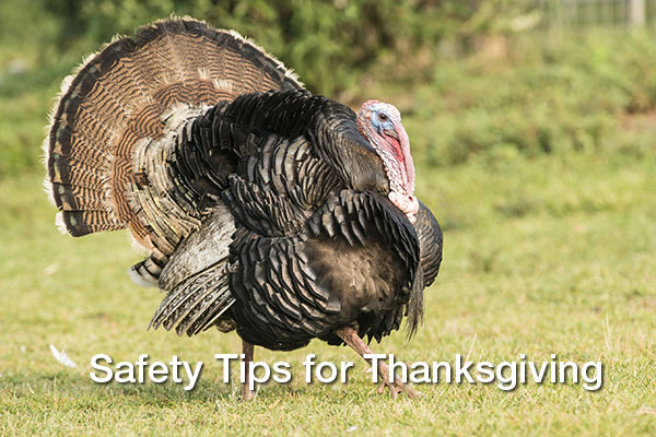 Avoid Turkey Day Disaster: Safety Tips for Thanksgiving